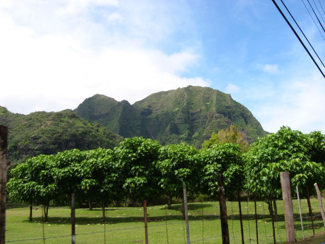 Hanalei